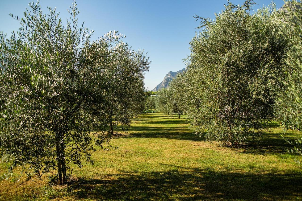 Agriturismo Casa Di Campagna Riva del Garda Dış mekan fotoğraf