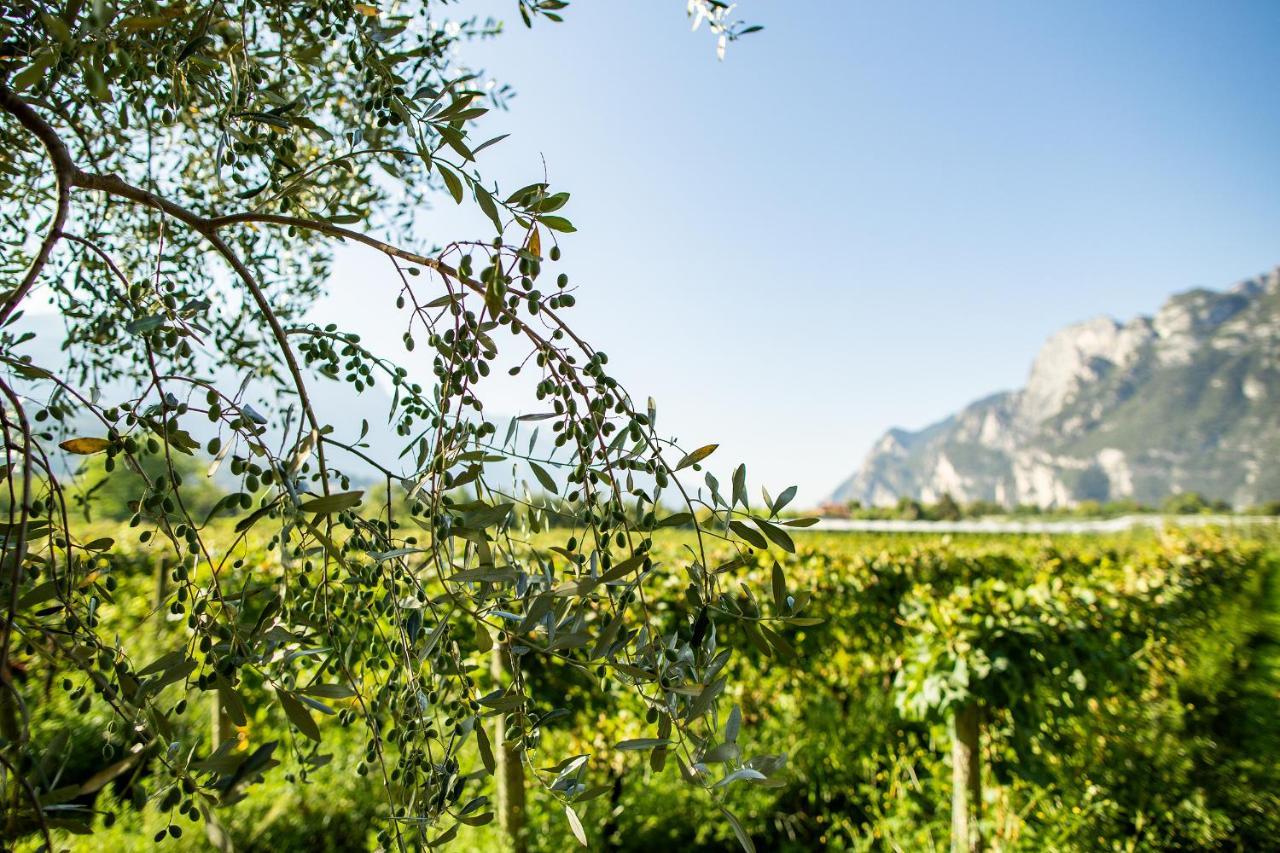 Agriturismo Casa Di Campagna Riva del Garda Dış mekan fotoğraf