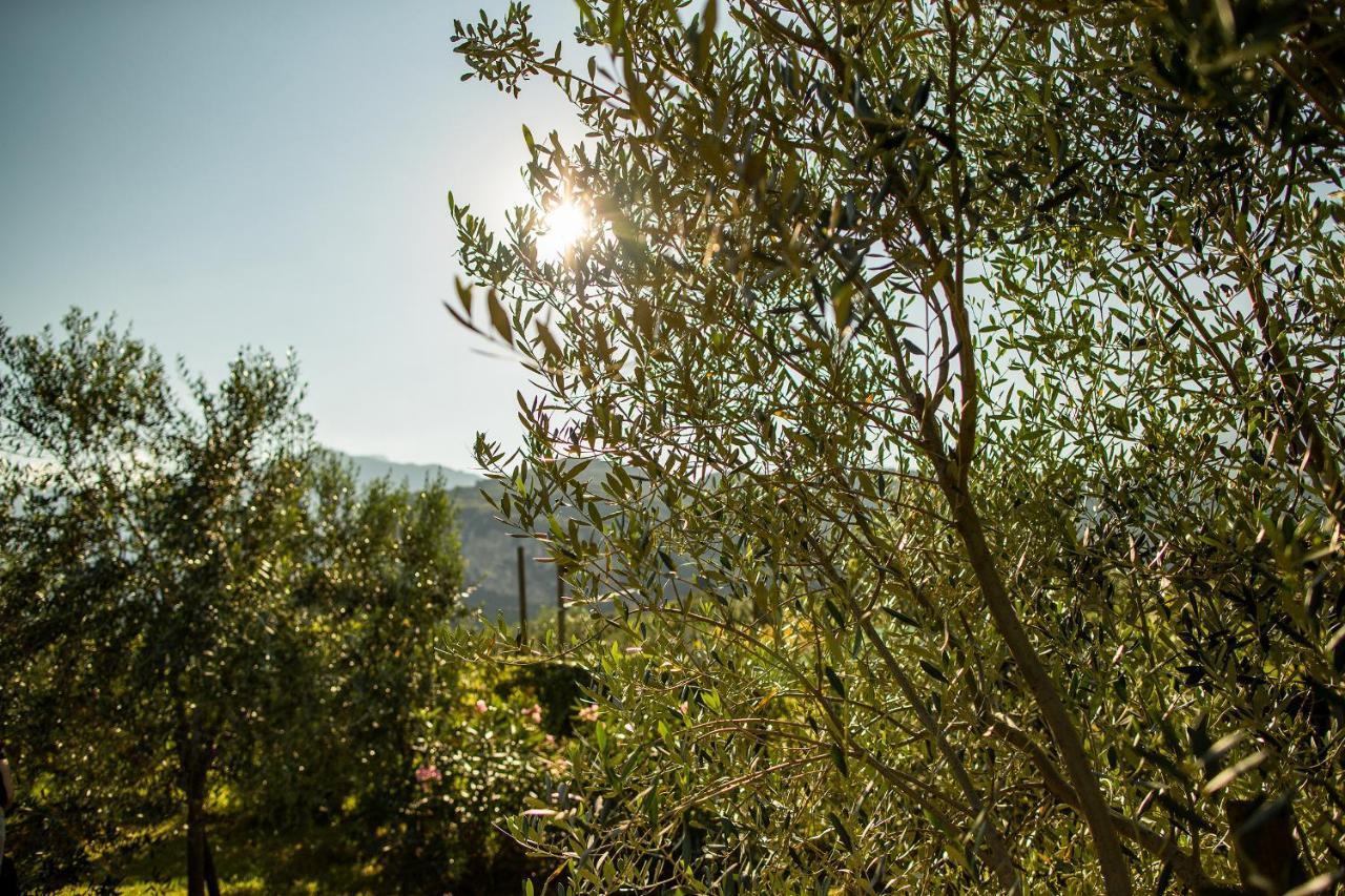 Agriturismo Casa Di Campagna Riva del Garda Dış mekan fotoğraf